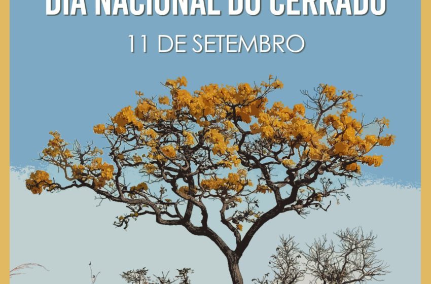  Dia Nacional do Cerrado