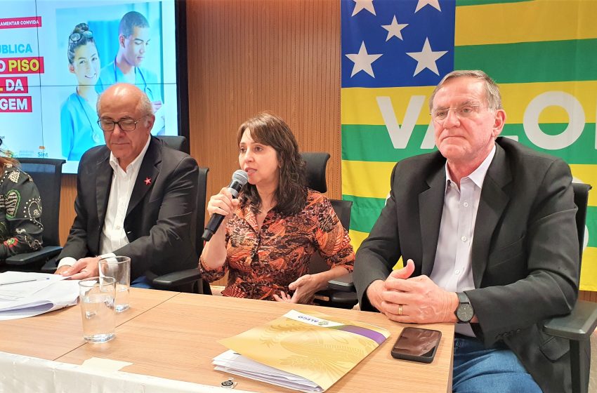  Sindsaúde discute, em audiência pública, aplicação do piso salarial da enfermagem em Goiás